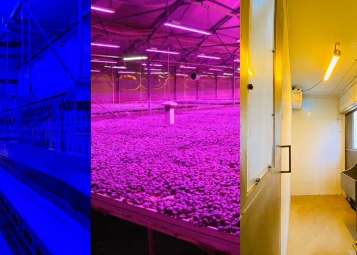 Luminária Hermética LED: Mais Bem-Estar, Produtividade e Proteção no Seu Espaço